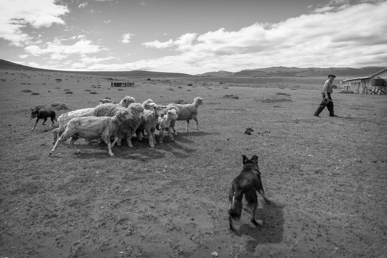 Estancia Dos Elianas Villa Torres del Paine National Park ภายนอก รูปภาพ