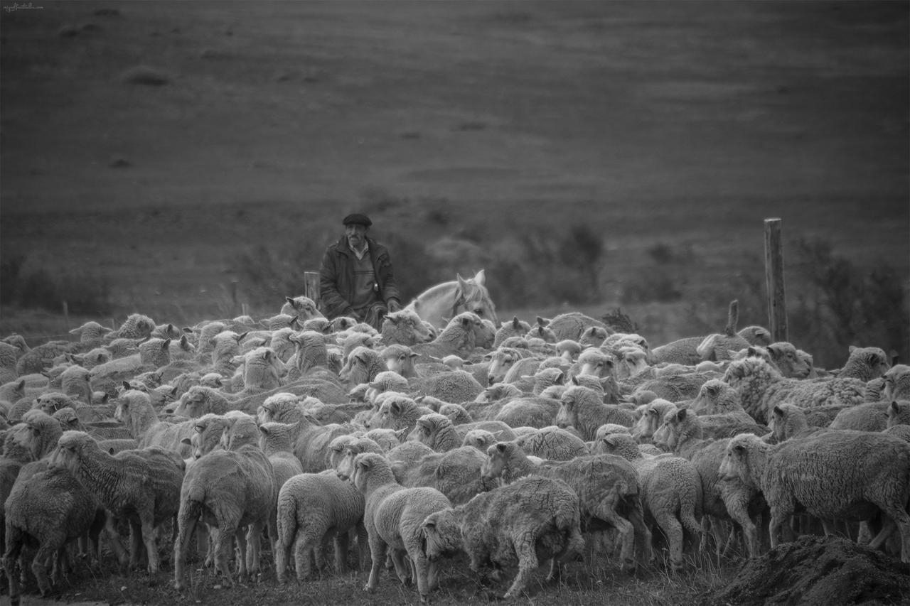 Estancia Dos Elianas Villa Torres del Paine National Park ภายนอก รูปภาพ